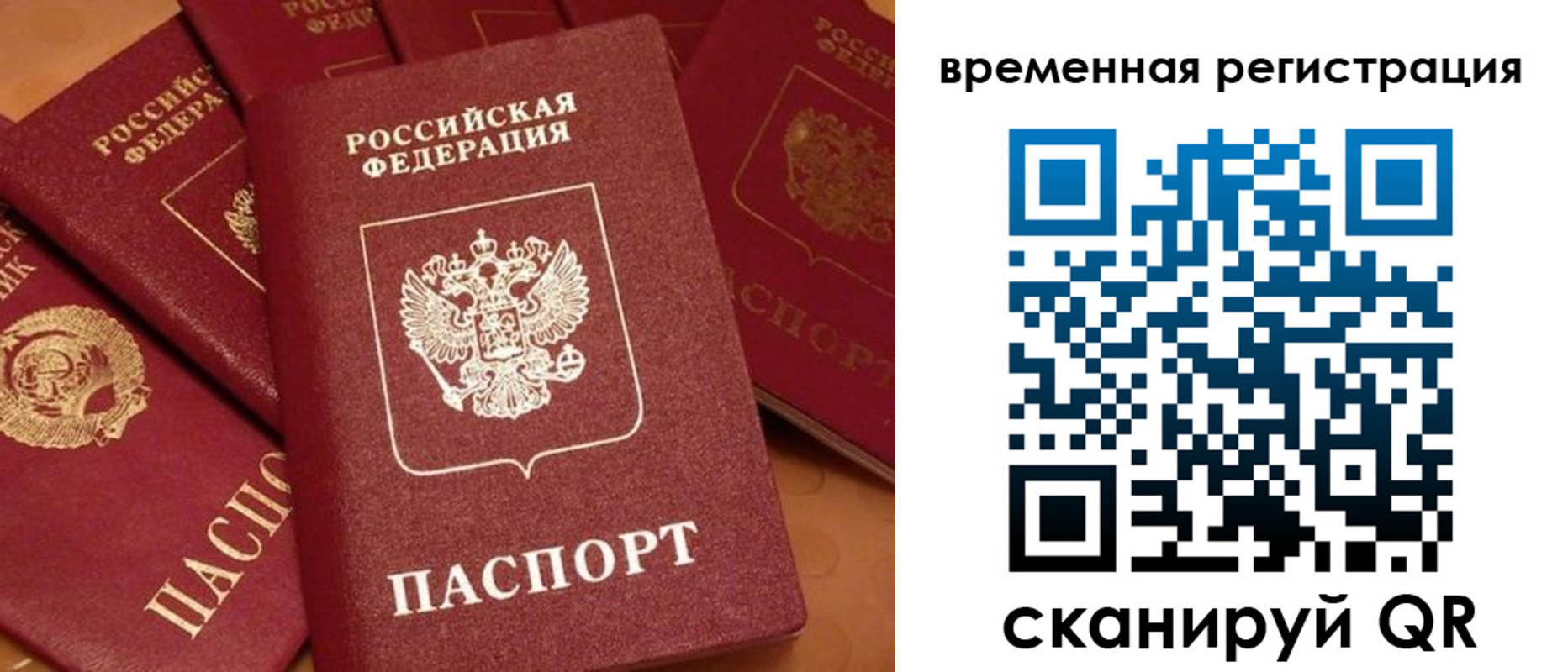 где прописаться в Фрязино